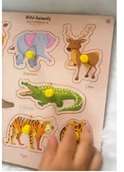 Wooden Puzzle 4 in 1 for Kids