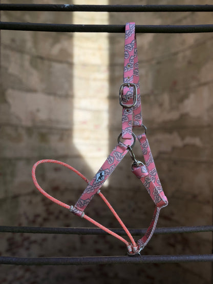 Cute but Psycho/Lariat Nose Halter