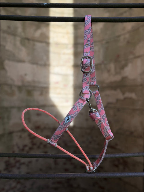 Cute but Psycho/Lariat Nose Halter