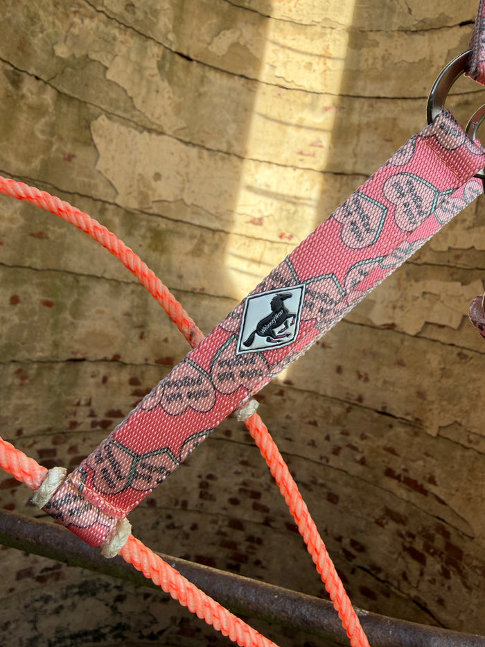 Cute but Psycho/Lariat Nose Halter