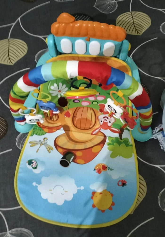 Baby Play Gym