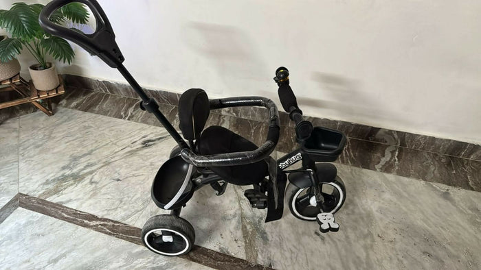 BABYHUG Tricycle Black with Canopy