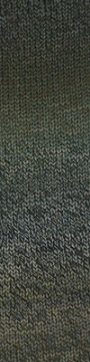 Cascade 220 Superwash Wave