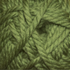 33 Cactus