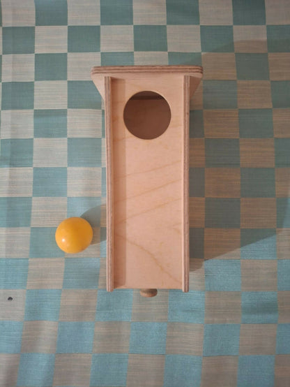 Curious cub object permanence box with drawer