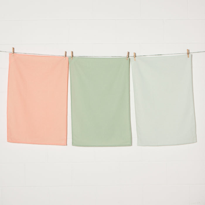 Dawn Eucalyptus Mist Floursack Dishtowels Set of 3