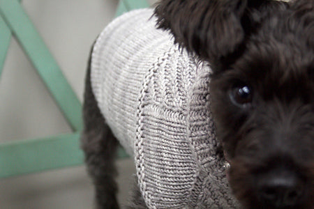Harness-Friendly Dog Sweater