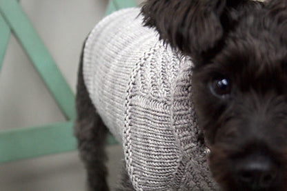 Harness-Friendly Dog Sweater