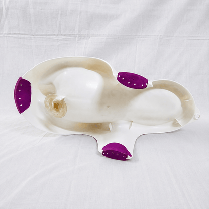 KEEPER  Ergonomic Baby Bath Support Infant Bath Recliner Safari B093