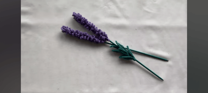 Two lavender flowers on a textured white surface