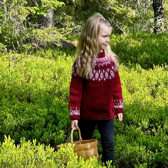 Linlo Junior Sweater Yarn Bundle