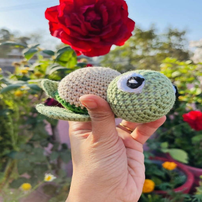 Mini Turtle - PyaraBaby