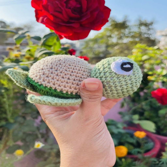 Mini Turtle - PyaraBaby