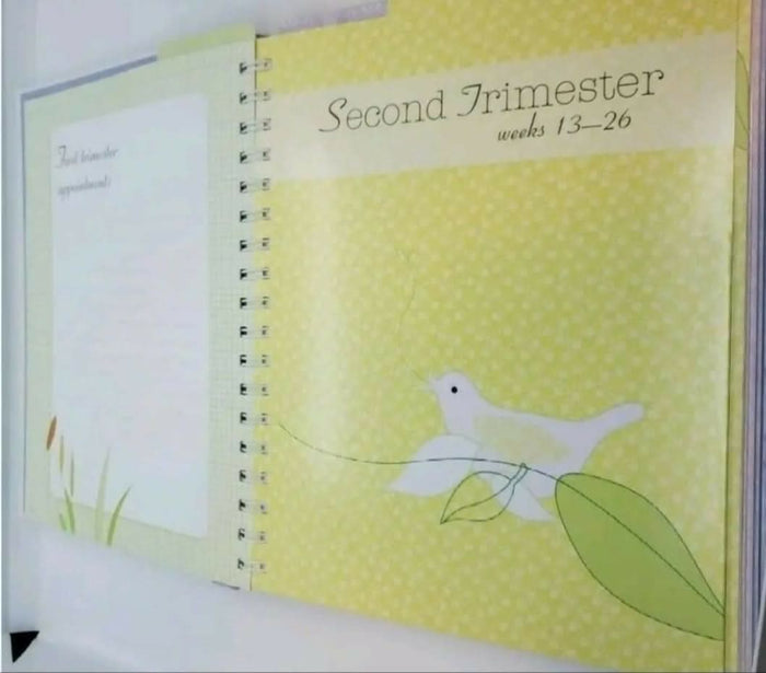 A beautifully designed keepsake journal to document every moment of your pregnancy journey, from the first positive test to the day you meet your baby