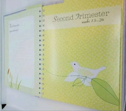 A beautifully designed keepsake journal to document every moment of your pregnancy journey, from the first positive test to the day you meet your baby