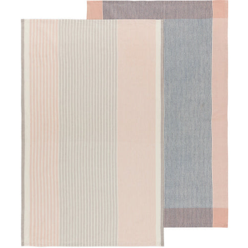 Nectar Array Stripe Dishtowel Set of 2
