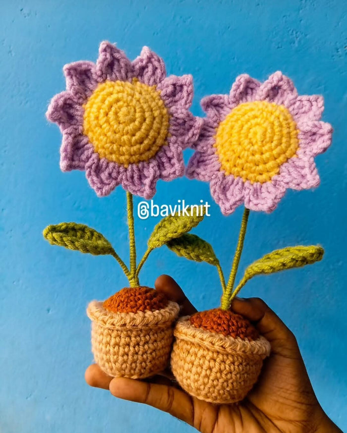 Purple Sunflower