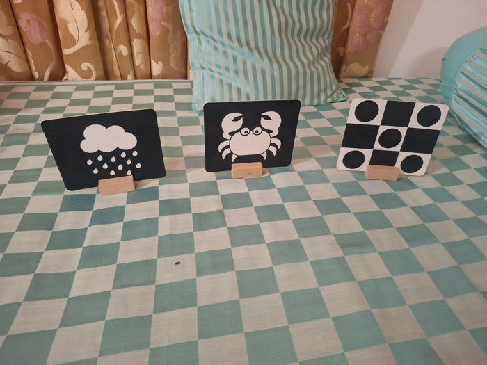 Skillmatics flashcards