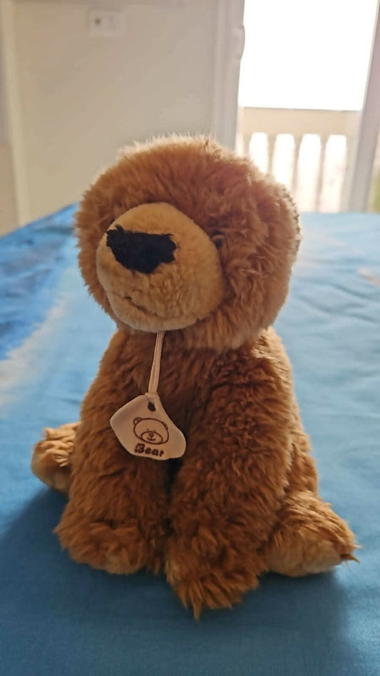 Soft Toy- Cute Bear - PyaraBaby