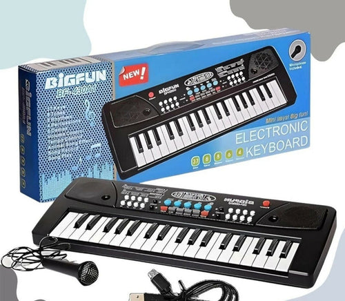Tortoise keyboard piano