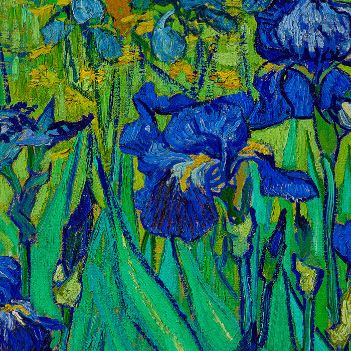 Vincent van Gogh Irises Canvas Wall Art