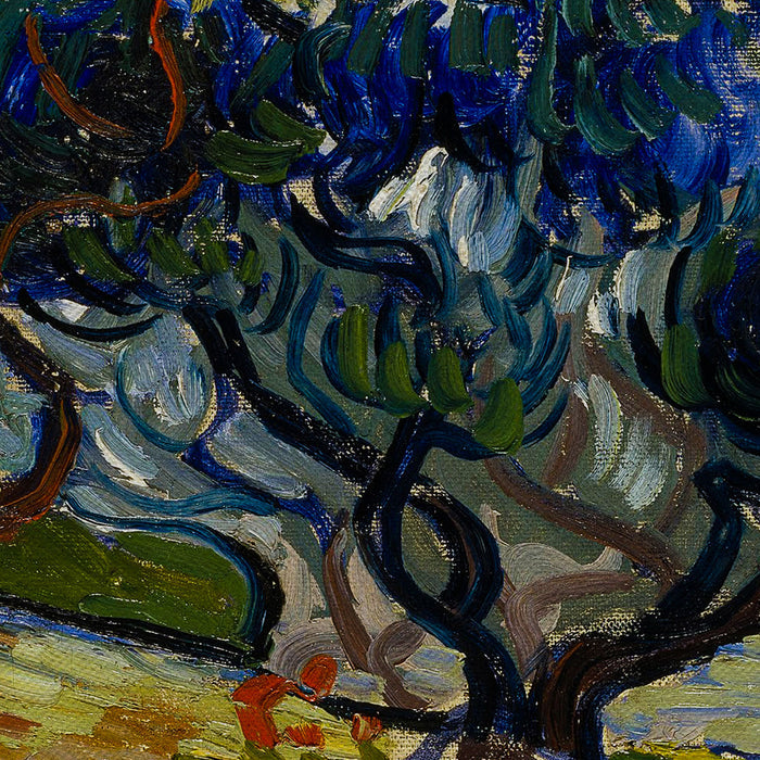 Vincent van Gogh Olive Trees Canvas Wall Art