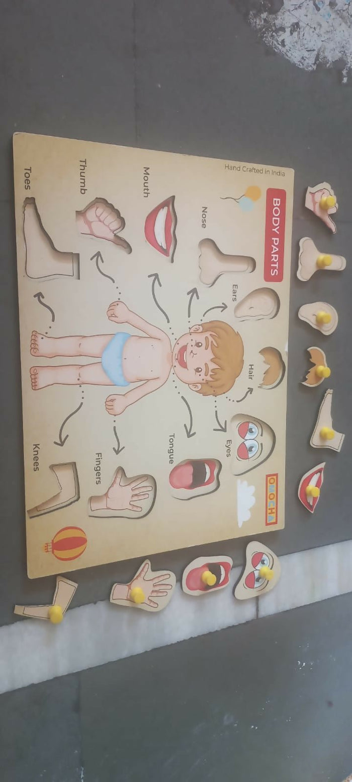 Wooden Puzzle (Set of 5)