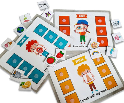 ZOOPLAY 5 Senses Sorting Activity Games