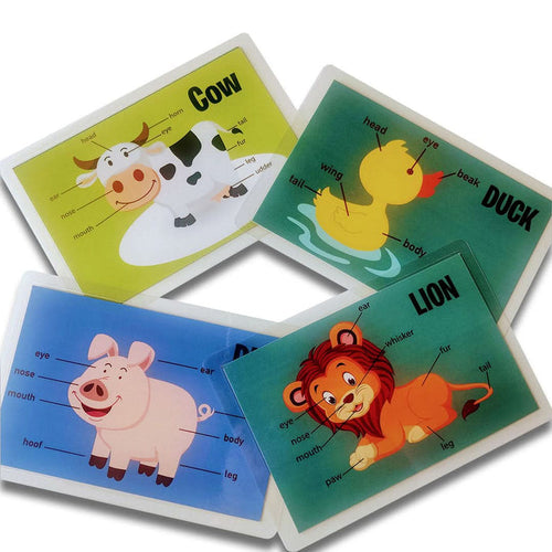 ZOOPLAY Animal Body Parts Flashcards