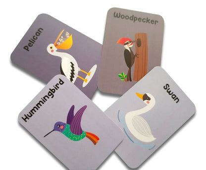ZOOPLAY Animal World Combo Flashcards ( Animals, Birds, Insects and Sea Animals)
