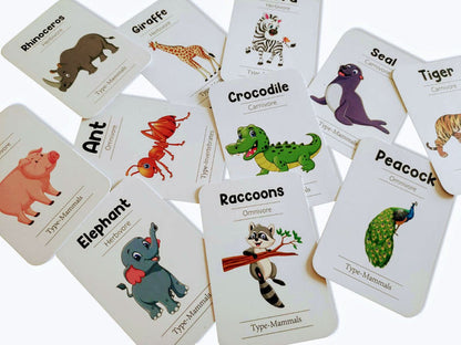 ZOOPLAY Animal World Combo Flashcards ( Animals, Birds, Insects and Sea Animals)