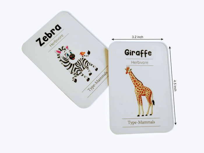 ZOOPLAY Animal World Combo Flashcards ( Animals, Birds, Insects and Sea Animals)
