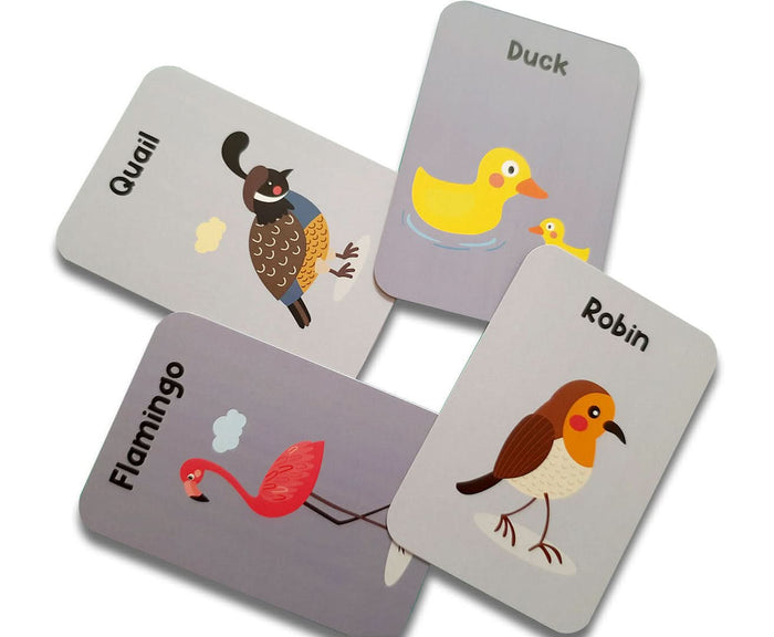 ZOOPLAY Birds Flash Cards for Kids
