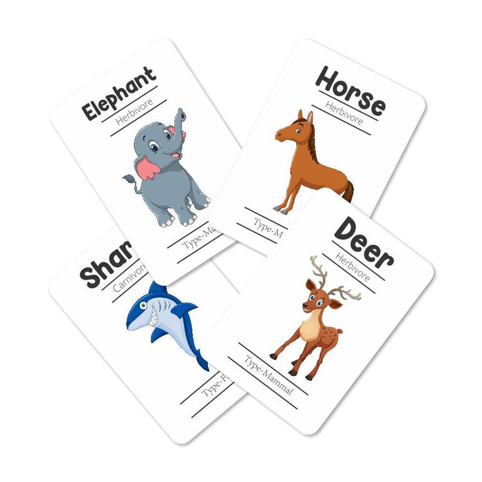 ZOOPLAY First Flashcards Combo Pack - Animals, Fruits & Vegetables, Professions & Space Flashcards)