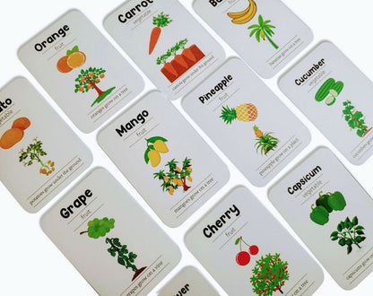 ZOOPLAY Fruits and Vegetables Flashcards