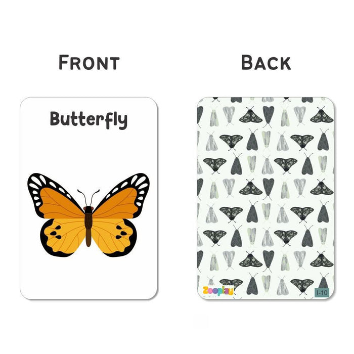 ZOOPLAY Insect Flash Cards- Pack of 24