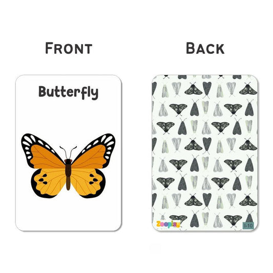 ZOOPLAY Insect Flash Cards- Pack of 24