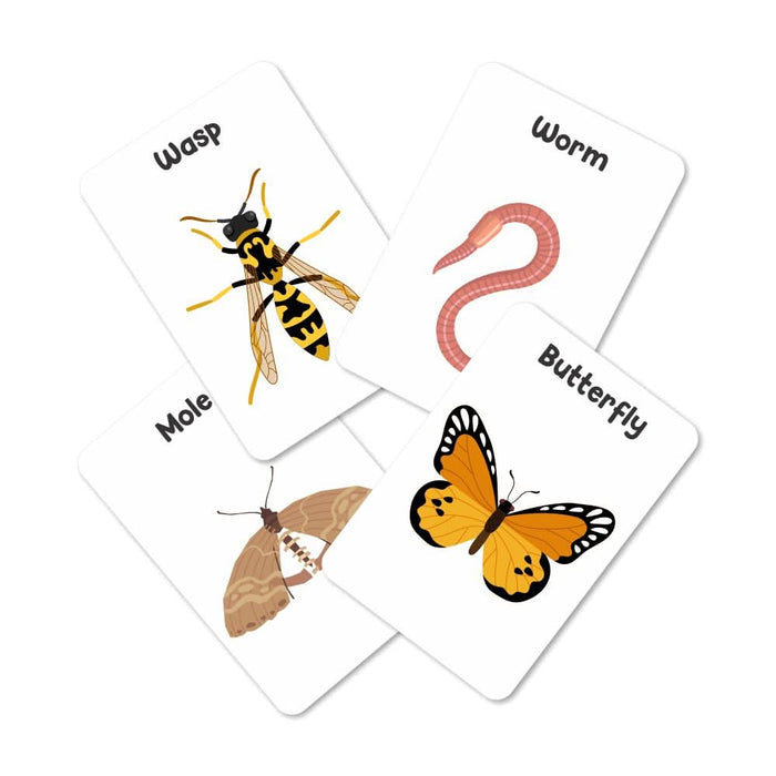 ZOOPLAY Insect Flash Cards- Pack of 24