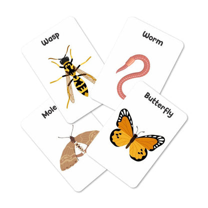 ZOOPLAY Insect Flash Cards- Pack of 24