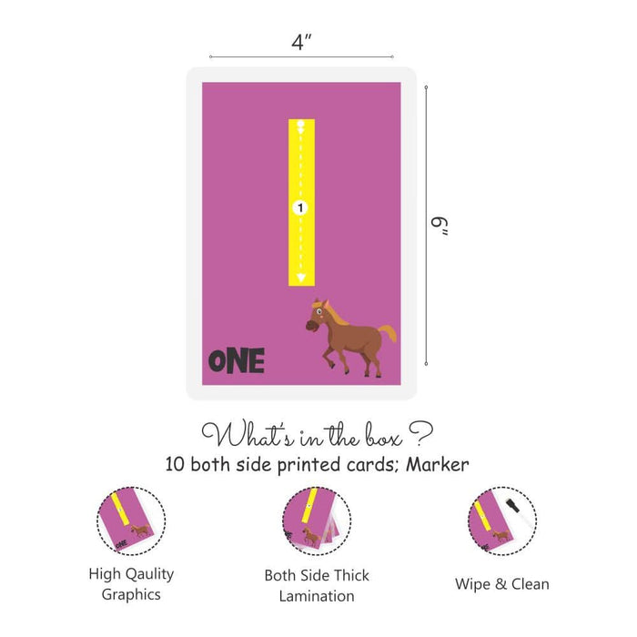 ZOOPLAY Numbers Rewritable Flashcards / Tracing Mats