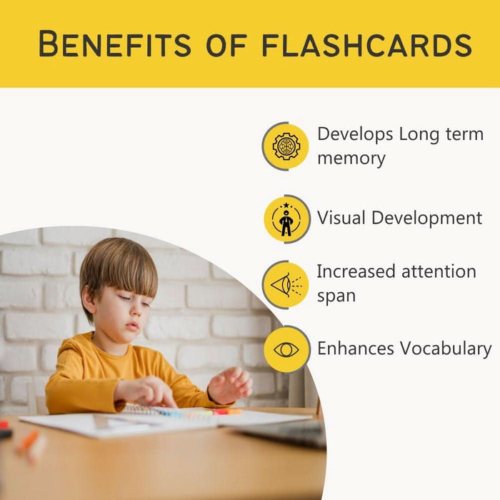 ZOOPLAY Profession Flashcards- Pack of 24