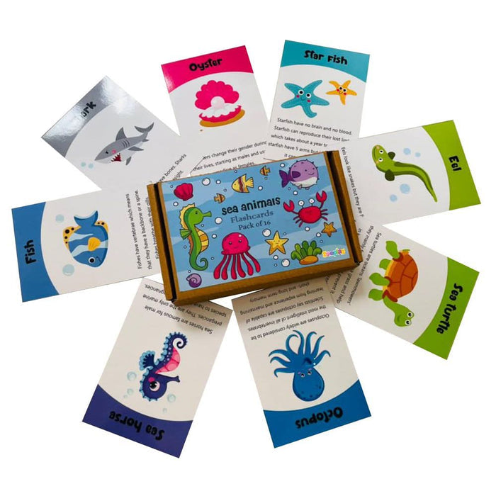 ZOOPLAY Sea Animals Flashcards